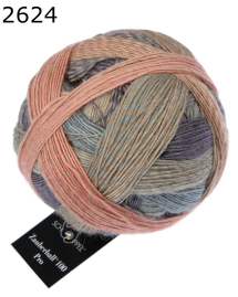 Zauberball 100 Pro Schoppel Wolle Farbe 624