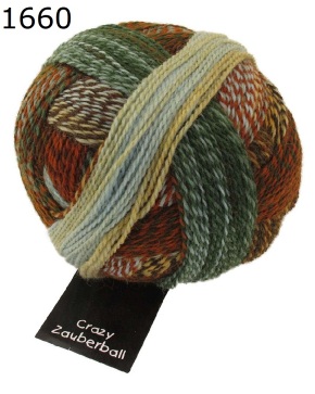 Zauberball Crazy Schoppel Wolle Farbe 1660