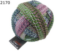 Zauberball Crazy Schoppel Wolle Farbe 170