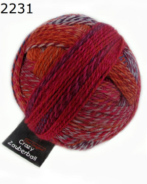 Zauberball Crazy Schoppel Wolle Farbe 2231