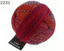 Zauberball Crazy Schoppel Wolle Farbe 231