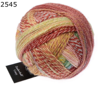 Zauberball Crazy Schoppel Wolle Farbe 545