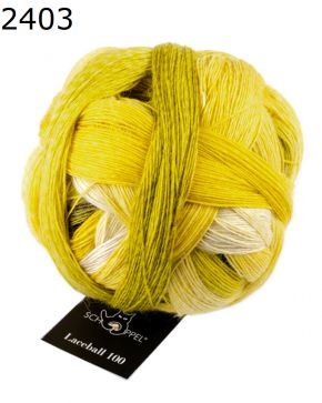 Zauberball Laceball 100 Schoppel Wolle Farbe 2403