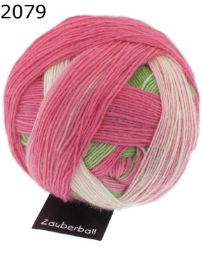 Zauberball Schoppel Wolle Farbe 2079