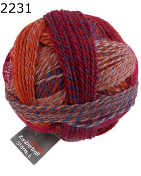 Zauberball Strke 6 Schoppel Wolle Farbe 2231