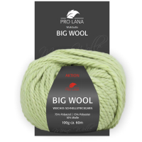 Big Wool Pro Lana