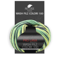 Colori 100 Wash Filz Pro Lana