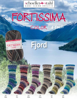 Fortissima Fjord Color Schoeller Stahl
