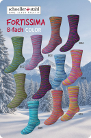 Fortissima Color 8fach Schoeller-Stahl