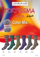 Fortissima Color Mix Schoeller Stahl