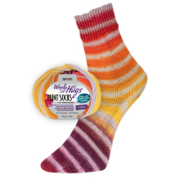 Paint Socks Woolly Hugs